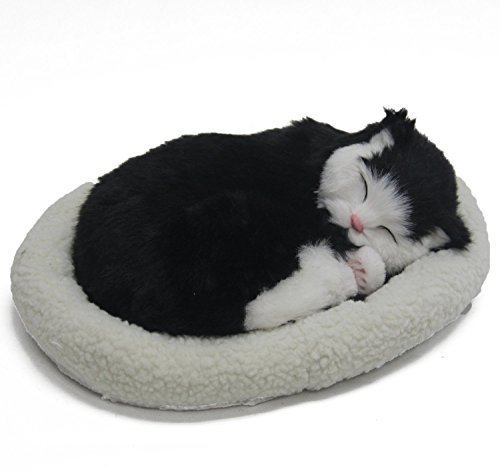 Preisvergleich Produktbild Signstek niedlich lebensecht schlafende Plüschtiere mit Haustierbett (Katze)