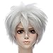 Produktbild Neue Silber-Weiß / Grau Gerade Perücke Anime Kurze Partei Cosplay Perücke Synthetische