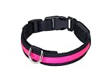 "Zandoo" Collar LED luminoso para perros en el color rosa