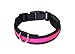 Price comparison product image LED Collar Dog Collar "Zandoo" Luminous Collar for Dogs in the Colour Pink Size S (30-45 cm) NEW from the brand PRECORN