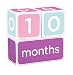 Pearhead Milestone Block Set (Pink)