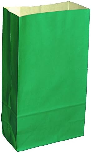 30 PAPER PARTY BAGS - GREEN