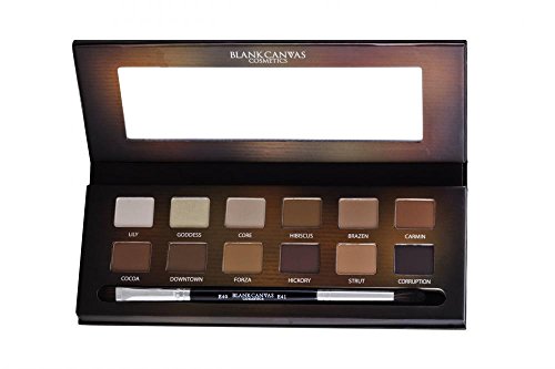 Blank Canvas Master Series Palette One, 12 colours & E40/E41 Brush