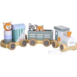 Kindsgut Petit Train en Bois et Cubes de Construction, Jouet en Bois bébé, Les Animaux du Zoo, Rayures