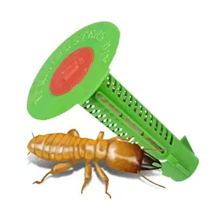 Decke DIY Termite Elimination Outdoor Kit from Australia Using Bio-Control Using Entomopathogenic Fungus to Infest Termite Nest- No Drills (5 pc + Auger Tool Lawns Length Up to 70 Ft)