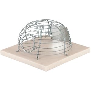 Korb-Mausefalle Alive