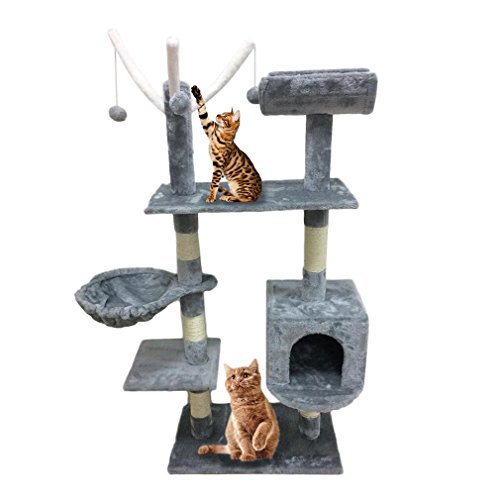 cat activity centre pets at home