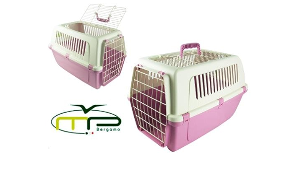 cat carrier the range
