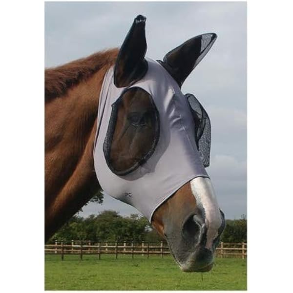 premier equine fly boots