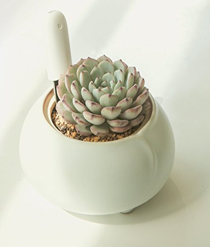 Flower Care – Smart Pflanzenmonitor. Echtzeit Sensoren für Bodenfruchtbarkeit, -feuchtigkeitsgrad, Licht und Temperatur. iOS und Android App. - 5