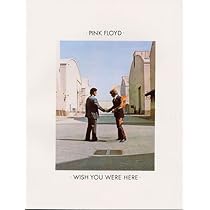 PINK FLOYD WISH YOU WERE HERE PVG: Amazon.co.uk: Various