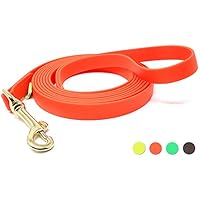 [Gesponsert]5m orange Hundeleine, mittlere Hunde | Biothane | geprüft 150kg | Handschlaufe | vernäht, Messingkarabiner