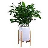 soportes de hierro para plantas trepadoras 🌷 Ahorre espacio en la esquina: deje que las macetas se levanten y levante sus plantas de interior para mantener a sus mascotas alejadas de las plantas. Adecuado para todo tipo de macetas de flores profundas o macetas de poca profundidad. Ya sea una maceta cilíndrica de cerámica, una maceta de plantación de cemento rústica, una maceta de latón moderna o una canasta para plantas
