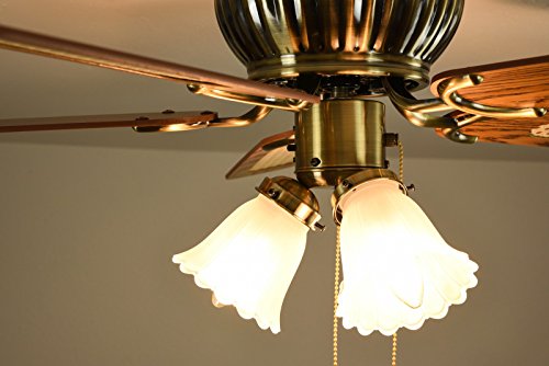 Pepeo Deckenventilator mit Licht Kisa, extra flach, Gehäuse Messing Antik, Flügel Mahagoni oder Eiche, 105 cm - 9