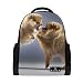 Produktbild My Daily Cute Pomeranian Hund Rucksack 35,6 cm Laptop Daypack Schultasche für Reisen College Schule