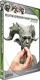 Image de Sculpting Expression and Fantasy Character DVD