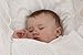 Poco Baby Natures Nest Motion Bed Hammock Package : Colour Raw Cotton Includes Two Fitted Sheets And Carry / Travel Bag