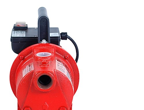 T.I.P. 31175 Gartenpumpe Guss Garten-Jet 750, bis 2.800 l/h Fördermenge - 2