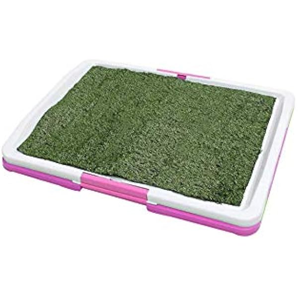dog pee tray grass
