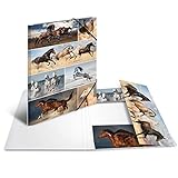 Lieferumfang: 1 HERMA Sammelmappe A3 Tiere Pferde (Länge/Breite/Höhe: 335 x 440 x 4 mm)