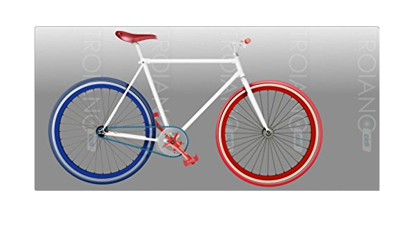 Bicicletta Scatto Fisso Uomo France Fixed Super Leggera : Sport e tempo  libero