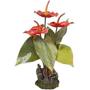 Lucky Reptile IF-30 Anthurium Kunststoffpflanze / Plastikpflanze mit Fuß, rot