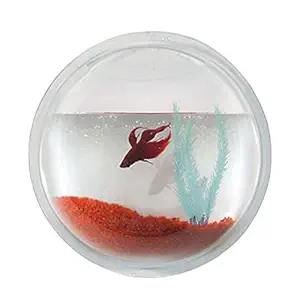 Wall Hanging Fish Bowl Acrylic with Free Stones- 8 inches Medium Size