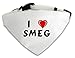 Produktbild Personalisierter Weißer Hundschal mit Aufschrift Ich liebe Smeg (Vorname/Zuname/Spitzname)