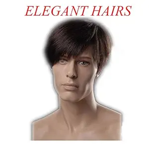Elegant Hairs Short synthetic hair wig for men(size 8,Dark Brown)