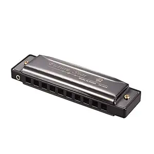 Decdeal Key of C Diatonic Harmonica Mouthorgan with ABS Reeds Mirror Surface Design 10 Holes Blues Harmonica Perfect for Beginners Professional Students Kid Black