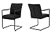 Produktbild Canett Furniture Pitou 2er Set Esszimmerstühl Armlehnstuhl Modern Design Stühl, Armlehne, Lederimitat, Metall/ Lackiert/ Schwarz/ Mikrofaser, 58 x 46 x 88 cm