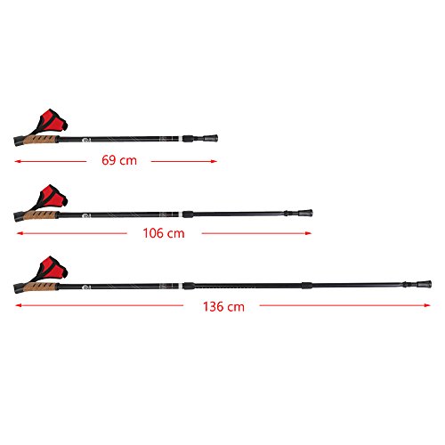 Nordic Walking Stöcke Classic Teleskop Verstellbar inkl. Nordic Walking App Wanderstöcke mit Anti-Shock Dämpfung - 2