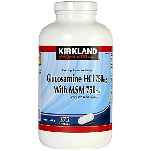 Preisvergleich Produktbild Kirkland Signature Glucosamine HCI 750mg With MSM 750mg 375 Tablets