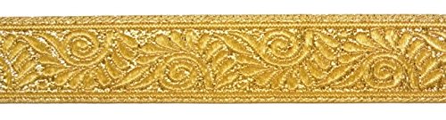 1A-Kurzwaren 10 m Brokat passamaneria 22 mm di Larghezza Colore: Lurex-Gold U-09 - 22 mm-Go
