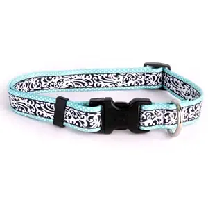 Yellow Dog Design Chantilly Teal Dog Collar Fits Neck 14 to 20