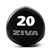Produktbild Ziva SL Virgin Rubber Steel Tribell Studio Dumbbell for Weight Lifting, Core Training - Flat Head Prevents Rolling - Ergonomic Comfort Grip - 10 Pairs, 2lb Increments - Red/Gray