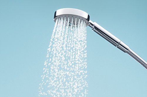 hansgrohe Raindance S 150 Handbrause, 3 Strahlarten, chrom - 3