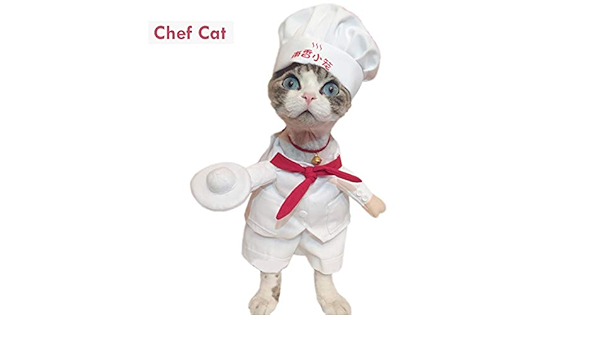 cat chef costume