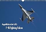  Augenblicke in der Luft: F-16 Fighting Falcon (Wandkalender 2019 DIN A4 quer): Bilder der F-16 Fighting Falcon von verschiedenen Luftwaffen (Monatskalender, 14 Seiten ) (CALVENDO Technologie)