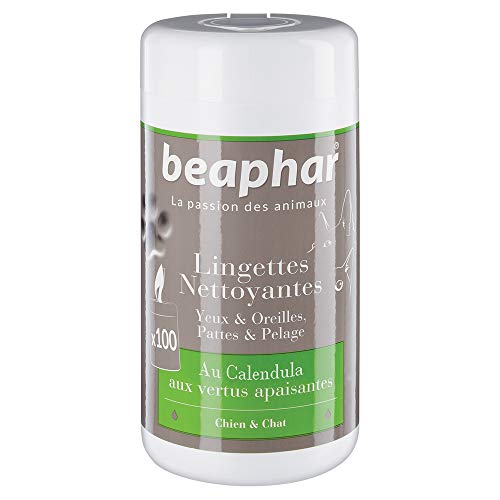 Beaphar Lingettes nettoyantes pattes, pelage, yeux et oreilles pour chien et chat, 100 lingettes