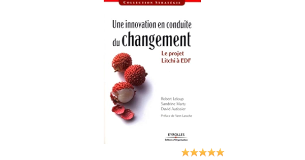 Amazon Fr Une Innovation En Conduite Du Changement Le Projet Litchi A Edf Robert Leloup Sandrine Marty David Autissier Livres