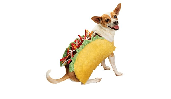 Petco Halloween Costumes 2022 Petco Halloween Taco Dog Costume Xx Large Amazon In Pet Supplies