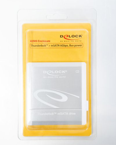 Delock 42509 Externes Gehäuse MSATA SSD zu Thunderbolt - 5