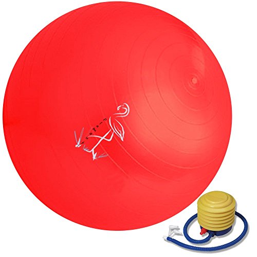 Flamant Pelota de Ejercicio - Gran Bola de Ejercicio para el AB - 65cm - Ideal para el Yoga - Viene con la Bomba de pie - Anti-explosión (Rojo)