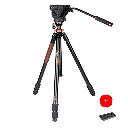 Trípode de Cabeza fluida, cámara de Video Cayer AT2371 Pro Patas de trípode con Cabezal de Video Fluido K5, Carga máxima 17,6 LB, Kit de fluidos de Video de 70,5 Pulgada