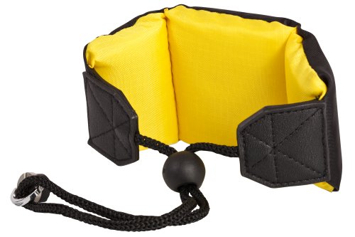 Nikon Dragonne Flottante AW1 - Noir