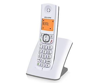 Alcatel F530 Téléphone sans Fil Solo Gris