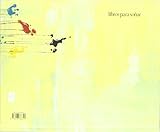 Image de El cuadro más bonito del mundo (libros para soñar)
