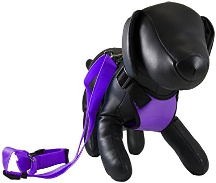Petcessory PHB-001-PUR-S Travel Harness with Leash, Small, Purple