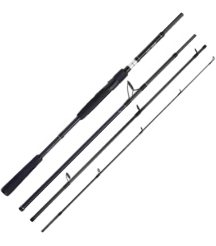 Shimano Exage BX STC Spinning 300 XH, 3.00 meter, 50-100 gram